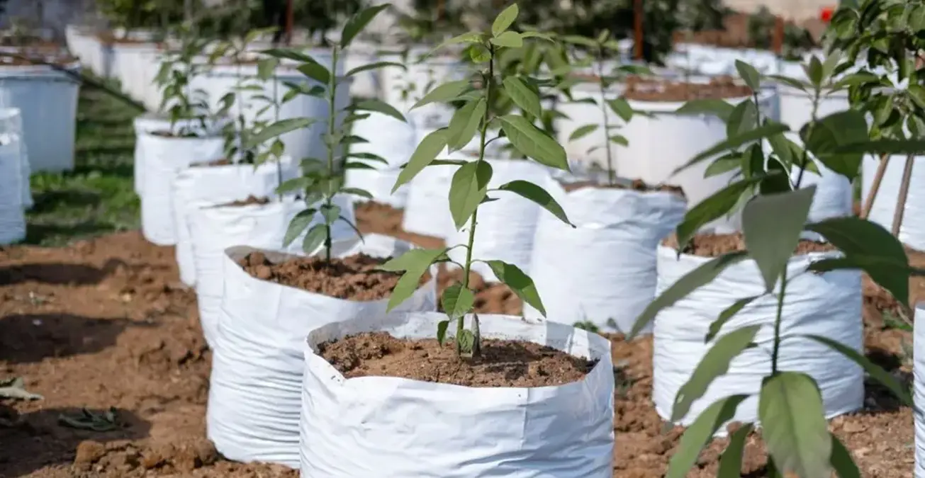 The Growing Role of Nursery Garden Bags in Nepal’s Agriculture